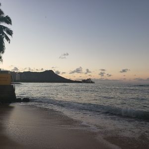 Meet your Posher, Dedee